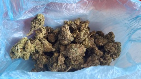 U VJT PRIVEDENA ŽENA IZ OBRENOVCA: U radnji za prodaju slatkiša pronađena marihuana U VJT PRIVEDENA ŽENA IZ OBRENOVCA: U radnji za prodaju slatkiša pronađena marihuana