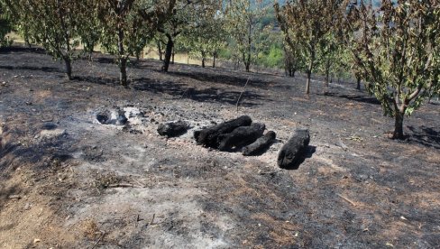 КУЋЕ САЧУВАНЕ ОД ВАТРЕ: Пожар у два села Јабланичког округа
