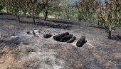 КУЋЕ САЧУВАНЕ ОД ВАТРЕ: Пожар у два села Јабланичког округа