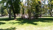 RASPORIO DEČAKU STOMAK, PA SE BRANI SA SLOBODE: Više tužilaštvo u Pančevu traži pritvor za napadača u parku