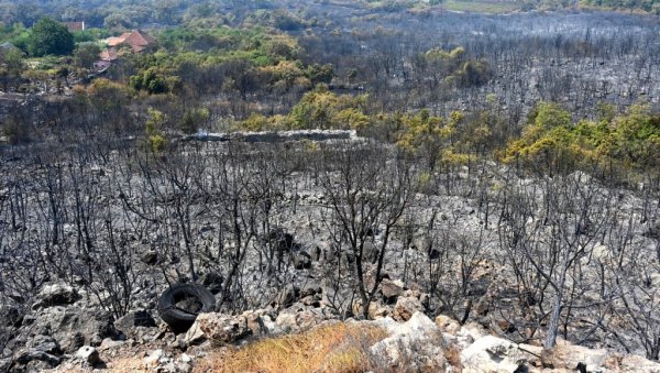 10 МАСКИРАНИХ ЛИЦА ПОКУШАЛО ДА ИЗАЗОВЕ ПОЖАР: Ужас на брду Горица у Подгорици 10 МАСКИРАНИХ ЛИЦА ПОКУШАЛО ДА ИЗАЗОВЕ ПОЖАР: Ужас на брду Горица у Подгорици