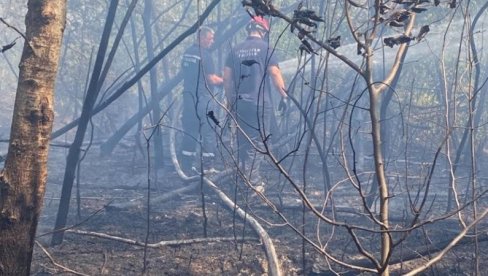 VATROGASCI NE STAJU : U Šumadiji aktivno desetak požara