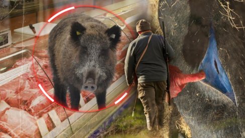 LOVCI DIGLI UZBUNU: Otkrivene svinje sa plavim mesom - stručnjaci upozoravaju građane: Nemojte to jesti! (FOTO)