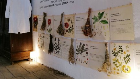 I VINO KORISTILI KAO LEK: Vršački muzej „Apoteka na stepenicama“, dobio novi eksponat - apotekarsku presu za ceđenje grožđa (FOTO) I VINO KORISTILI KAO LEK: Vršački muzej „Apoteka na stepenicama“, dobio novi eksponat - apotekarsku presu za ceđenje grožđa (FOTO)