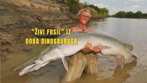 ЗАСТРАШУЈУЋЕ: Упецао веома ретку рибу - огромну! Живи фосил из доба диносауруса (ФОТО) ЗАСТРАШУЈУЋЕ: Упецао веома ретку рибу - огромну! Живи фосил из доба диносауруса (ФОТО)