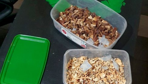 UZGAJALI PSIHOAKTIVNE PEČURKE: Policija u Bečeju otkrila dve laboratorije i uhapsila dvojicu osumnjičenih UZGAJALI PSIHOAKTIVNE PEČURKE: Policija u Bečeju otkrila dve laboratorije i uhapsila dvojicu osumnjičenih
