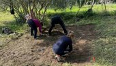 SRPSKI JUNACI POČIVAJU NA DVE PARCELE: Snimanje georadarom parcele Dore Kefaloniti na Krfu opravdava tvrdnje njenih dede i oca