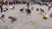 DECA SU UKRAS SVETA: Mališani iz Vranjske Banje dočekuju goste uz poruke i crteže na kružnom prelazu (FOTO)(VIDEO) DECA SU UKRAS SVETA: Mališani iz Vranjske Banje dočekuju goste uz poruke i crteže na kružnom prelazu (FOTO)(VIDEO)