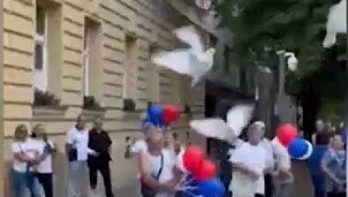 KAKVA PRELEPA SIMBOLIKA: Golubovi mira pušteni u Kikindi (VIDEO) KAKVA PRELEPA SIMBOLIKA: Golubovi mira pušteni u Kikindi (VIDEO)