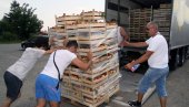 ОД МЕШЕТАРА И ПОЛИСА ШТИТИ: Иницијатива Министарства пољопривреде да се у откупу пољопривредних производа уведе обавезно осигурање