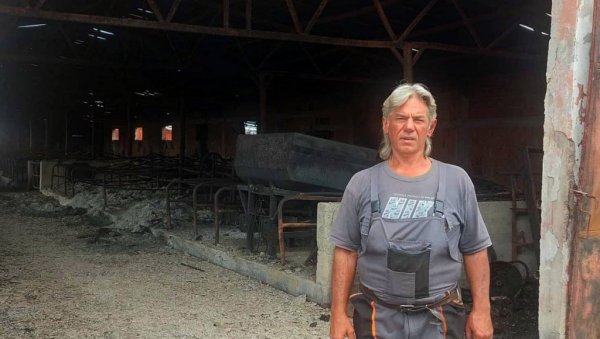 ВАТРА ИМ ПРОГУТАЛА ЦЕЛО ИМАЊЕ: Породици Грујић из Вршца неопходна помоћ око бриге о коњима ВАТРА ИМ ПРОГУТАЛА ЦЕЛО ИМАЊЕ: Породици Грујић из Вршца неопходна помоћ око бриге о коњима