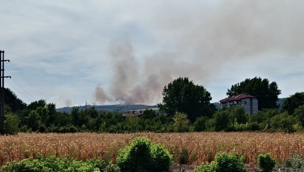 БУКТЕ ПОЖАРИ ШИРОМ КРАЈИНЕ:  Гори у Тамничу, између Речке и Чубре и потес Златног брда