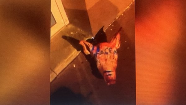 ОСТАВИЛИ СВИЊСКЕ ГЛАВЕ ИСПРЕД ЏАМИЈА: Тешке провокације на верској основи у Паризу - На једној написано Макроново име ОСТАВИЛИ СВИЊСКЕ ГЛАВЕ ИСПРЕД ЏАМИЈА: Тешке провокације на верској основи у Паризу - На једној написано Макроново име