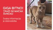 СВИ ТРАЖЕ ШВРЋКА
