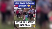 СЛЕДБЕНИЦИ ДИНКА ГРУХОЊИЋА ПОРУЧУЈУ: Нису вам ово српске улице! (ВИДЕО) СЛЕДБЕНИЦИ ДИНКА ГРУХОЊИЋА ПОРУЧУЈУ: Нису вам ово српске улице! (ВИДЕО)