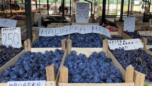 KILOGRAM ŠLJIVA 300 DINARA: Na tezgama dobra ponuda voća, ali cene visoke
