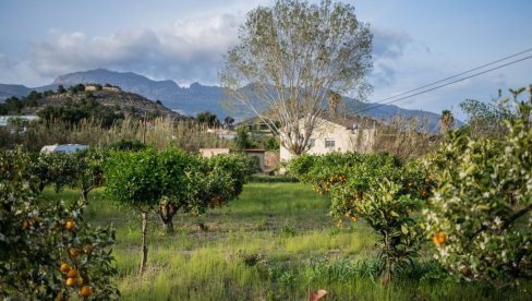 МОЖЕ ЛИ ПОЉОПРИВРЕДА СПАСИТИ ПЛАНЕТУ: Један филм је дао одговор