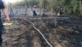 ŽENA STRADALA U POŽARU: Vatrena stihija na teritoriji Vrnjačke Banje