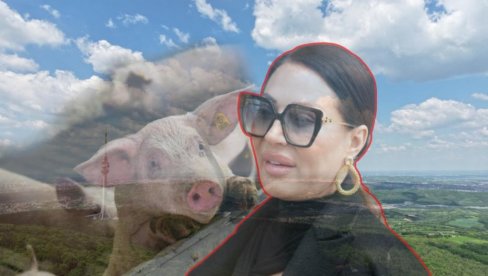 NE SME DA UNIŠTI SVETINJU! Ceca pravi farmu na Avali, meštani uznemireni: Samo preko nas mrtvih, zvali smo sveštenika! NE SME DA UNIŠTI SVETINJU! Ceca pravi farmu na Avali, meštani uznemireni: Samo preko nas mrtvih, zvali smo sveštenika!