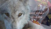 ZAŠTO SE VEKOVIMA VERUJE DA SE SRBI NASTALI OD VUKOVA? Mitski srodnik, čuvar slobode i simbol nepokornosti