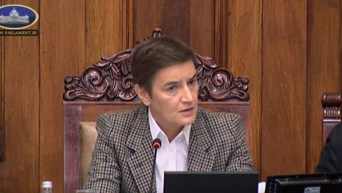 POZIVAM EVROPSKI PARLAMENT Brnabić: Sledeća rezolucija mora da se bavi pčelama koje napadaju studente u blokadi