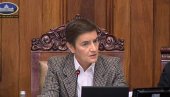 POZIVAM EVROPSKI PARLAMENT Brnabić: Sledeća rezolucija mora da se bavi pčelama koje napadaju studente u blokadi