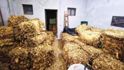 ZAPLENJEN DUVAN U OKOLINI KOVINA: Uhapšene dve osobe zbog šverca ZAPLENJEN DUVAN U OKOLINI KOVINA: Uhapšene dve osobe zbog šverca
