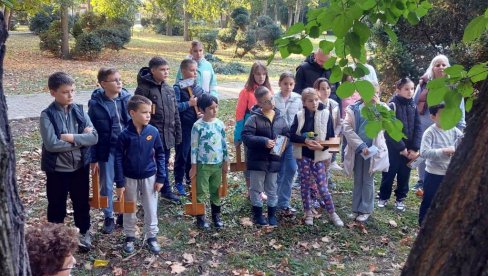 ОБУЧАВАЈУ МЛАДЕ ЗА ЗЕЛЕНИЈИ ГРАД: Покрет горана Вршац припрема децу за предстојећу садњу 15.000 младица ОБУЧАВАЈУ МЛАДЕ ЗА ЗЕЛЕНИЈИ ГРАД: Покрет горана Вршац припрема децу за предстојећу садњу 15.000 младица