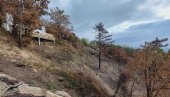 И ДАЉЕ ВИДЉИВЕ ПОСЛЕДИЦЕ ПОЖАРА: Шума око Стазе здравља на Вршачким планинама чека обнову