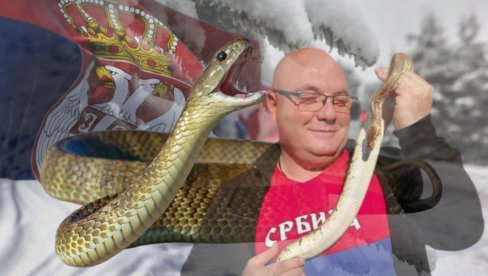 HLADNO, A ZMIJE SVUD PO SRBIJI: Viđene i na snegu! Stari kažu - LOŠ ZNAK, a evo kako to objašnjavaju stručnjaci HLADNO, A ZMIJE SVUD PO SRBIJI: Viđene i na snegu! Stari kažu - LOŠ ZNAK, a evo kako to objašnjavaju stručnjaci