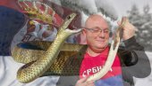 ХЛАДНО, А ЗМИЈЕ СВУД ПО СРБИЈИ: Виђене и на снегу! Стари кажу - ЛОШ ЗНАК, а ево како то објашњавају стручњаци