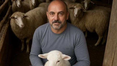 ПРОЈЕКАТ ЗА ОЧУВАЊЕ ГОТОВО НЕСТАЛЕ РАСЕ ОВАЦА КАРАКТЕРИСТИЧНЕ ЗА СТАРУ ПЛАНИНУ   И Ваљевци чувају пиротску праменку