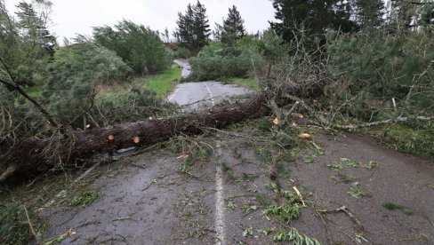 VETAR OBARAO KAMIONE I ČUPAO STABLA: Razorna oluja zahvatila ovaj deo sveta VETAR OBARAO KAMIONE I ČUPAO STABLA: Razorna oluja zahvatila ovaj deo sveta