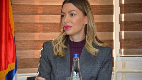 МЕСАРОВИЋ ПОРУЧИЛА: У Србији тренутно 377 корисника без струје, Спирић обмањује јавност