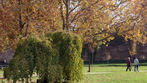 VREME KAO USRED PROLEĆA: Ove temperature sigurno niste očekivali u drugoj polovini novembra