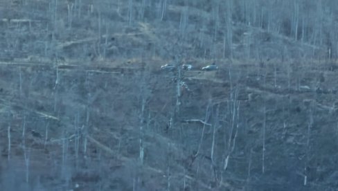 NOVI INCIDENT U KOPNENOJ ZONI BEZBEDNOSTI: Ko pokušava da relativizuje napad na Vojsku Srbije?