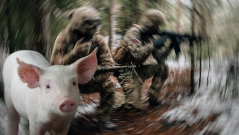 РУСКЕ ВОЈНИКЕ ОД СМРТИ СПАСИЛА - СВИЊА: Погледајте драматичан снимак са украјинског ратишта (ВИДЕО)