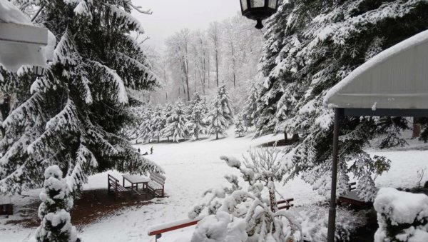 СНЕГ НА ГУЧЕВУ: Идила на све стране