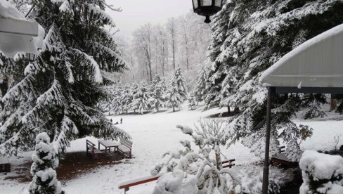 СНЕГ НА ГУЧЕВУ: Идила на све стране