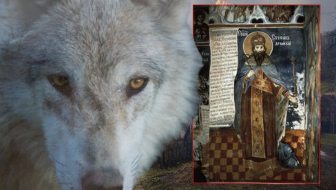 СУТРА ЈЕ ВЕЛИКИ СВЕТАЦ: Отац га ослепео, син удавио - ако желе добро породици, домаћини морају да преузму кућне послове