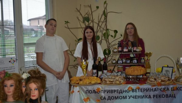 ОДЛУКА МИНИСТАРСТВА ПРОСВЕТЕ: За 15 ученичких задруга у средњим школама 10 милиона динара