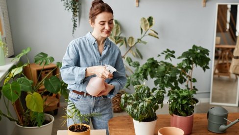 KAKO SE PRAVILNO ZALIVAJU BILJKE TOKOM ZIME? Jedna greška može potpuno da ih uništi