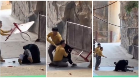 МЕДВЕД НАСРНУО НА РАДНИКА У ЗОО ВРТУ: Немилосрдна животиња напала свог дресера - особље хитно прискочило у поноћ (ВИДЕО)