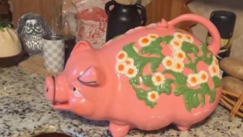 DEVOJKA KUPILA VINTIDŽ KASICU PRASICU, PA JE SAČEKALO IZNENAĐENJE: Platila je 1.100 dinara, a novac joj se vratio stostruko (VIDEO)