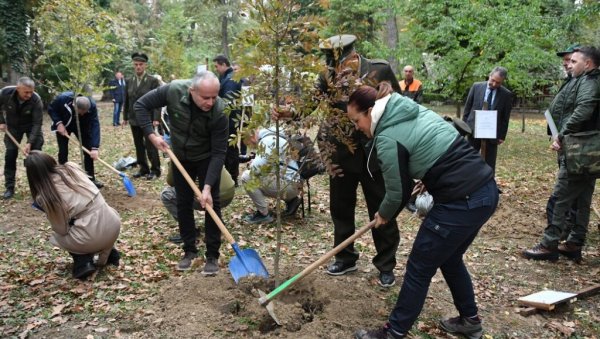 ВЕЛИКА АКЦИЈА ПОШУМЉАВАЊА У БОРУ: Павков са младима на Црном врху код Бора