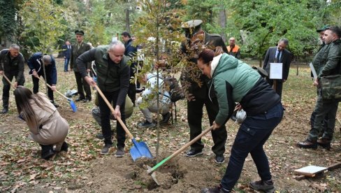 ВЕЛИКА АКЦИЈА ПОШУМЉАВАЊА У БОРУ: Павков са младима на Црном врху код Бора