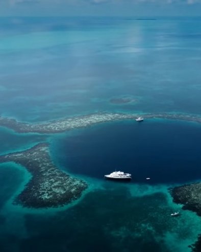 ВЕЛИКА ПЛАВА РУПА У МОРУ: Научници у страху после испитивања њеног ДНА