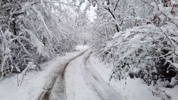 СТАБЛО ПАЛО НА ЖЕНУ И УБИЛО ЈЕ: Није јој било спаса
