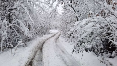 СТАБЛО ПАЛО НА ЖЕНУ И УБИЛО ЈЕ: Није јој било спаса