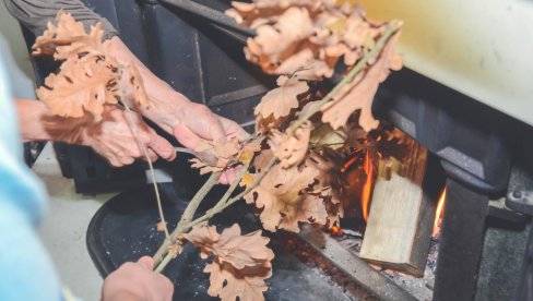 КАДА СЕ УНОСИ БАДЊАК У КУЋУ И ГДЕ ТРЕБА ДА СТОЈИ: Верује се да тако доноси срећу и благостање